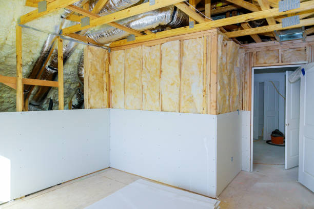 Best Insulation Installation Services in Stanton, MI