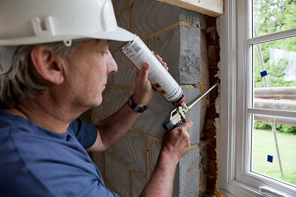 Best Insulation Maintenance and Repair in Stanton, MI